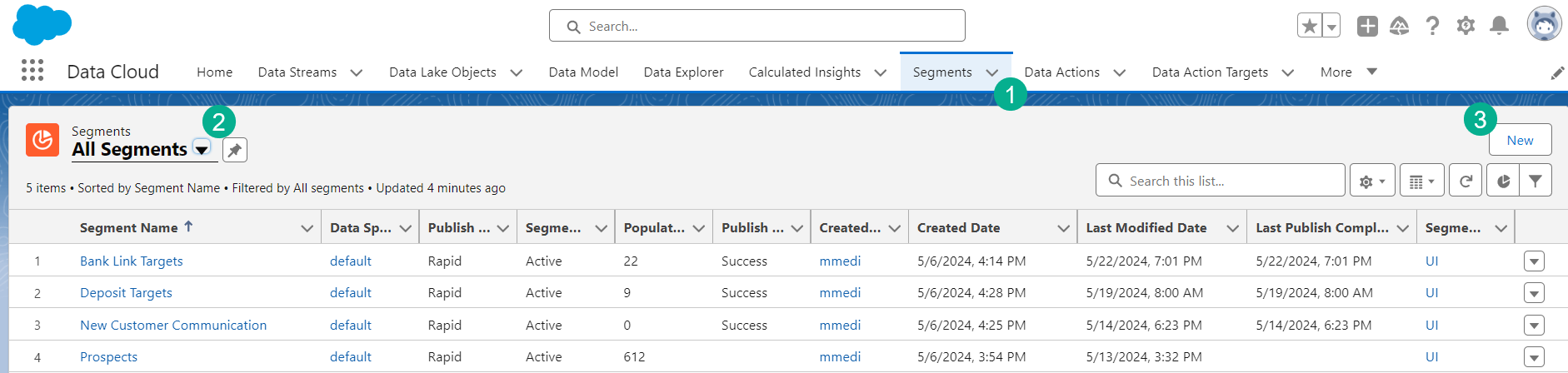 How to create a segment in Data Cloud and activate it in Marketing Cloud